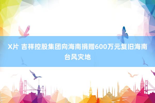 X片 吉祥控股集团向海南捐赠600万元复旧海南台风灾地