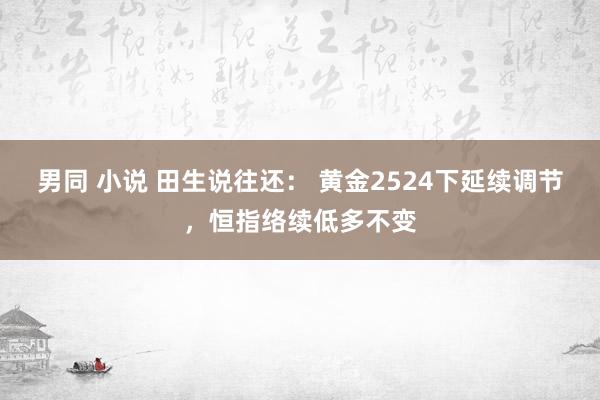 男同 小说 田生说往还： 黄金2524下延续调节，恒指络续低多不变