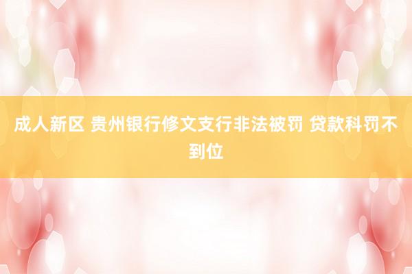 成人新区 贵州银行修文支行非法被罚 贷款科罚不到位