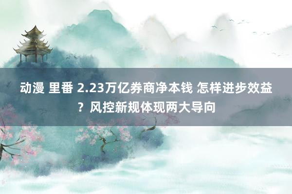 动漫 里番 2.23万亿券商净本钱 怎样进步效益？风控新规体现两大导向