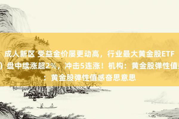 成人新区 受益金价屡更动高，行业最大黄金股ETF（517520）盘中续涨超2%，冲击5连涨！机构：黄金股弹性值感奋思意思