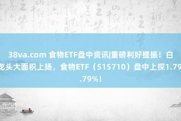 38va.com 食物ETF盘中资讯|重磅利好提振！白酒龙头大面积上扬，食物ETF（515710）盘中上探1.79%！