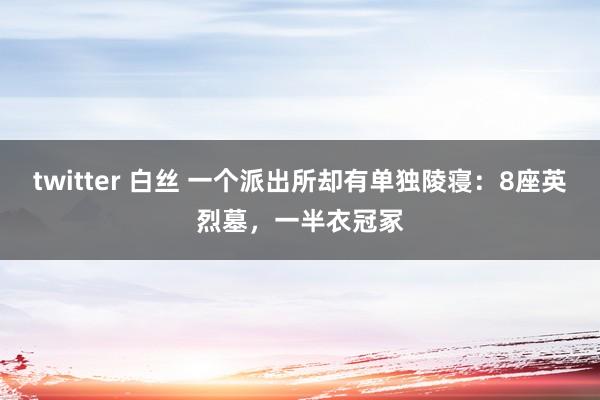 twitter 白丝 一个派出所却有单独陵寝：8座英烈墓，一半衣冠冢