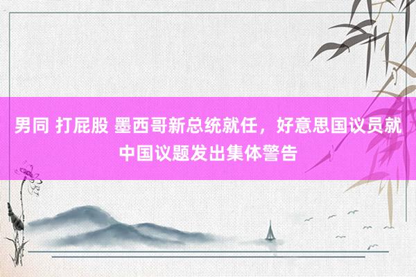 男同 打屁股 墨西哥新总统就任，好意思国议员就中国议题发出集体警告