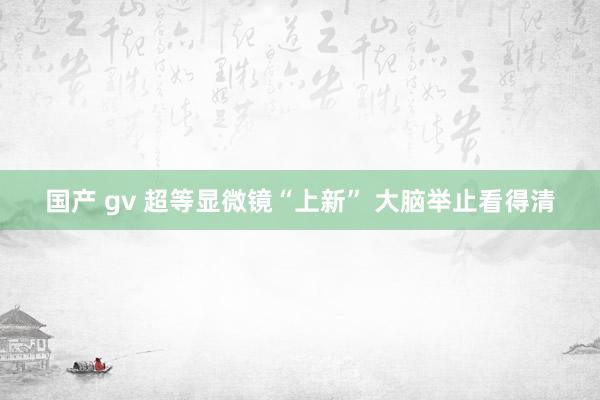 国产 gv 超等显微镜“上新” 大脑举止看得清