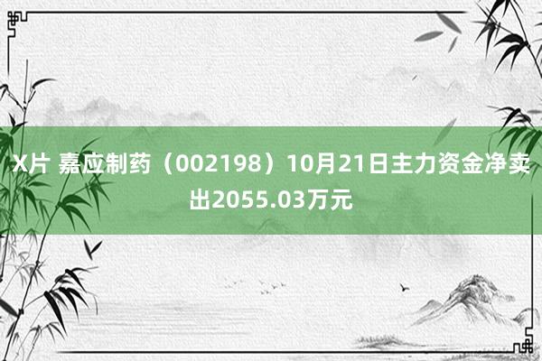 X片 嘉应制药（002198）10月21日主力资金净卖出2055.03万元