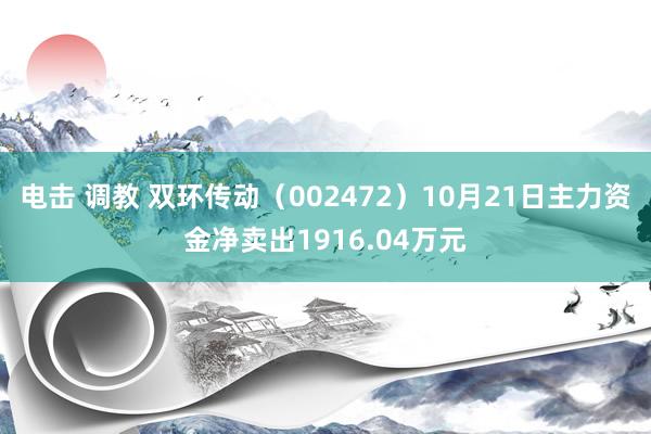 电击 调教 双环传动（002472）10月21日主力资金净卖出1916.04万元