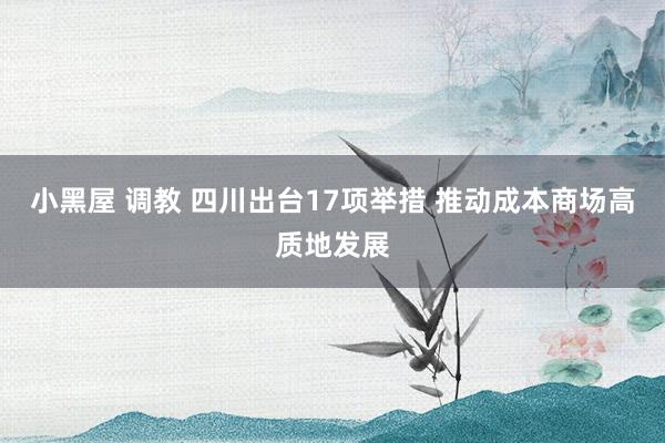 小黑屋 调教 四川出台17项举措 推动成本商场高质地发展