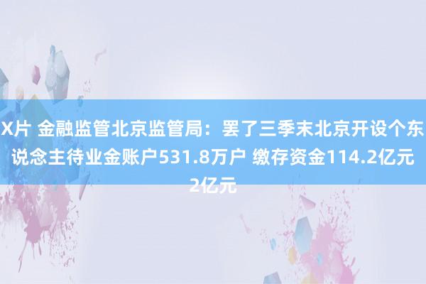 X片 金融监管北京监管局：罢了三季末北京开设个东说念主待业金账户531.8万户 缴存资金114.2亿元