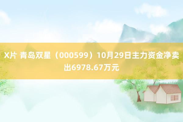 X片 青岛双星（000599）10月29日主力资金净卖出6978.67万元