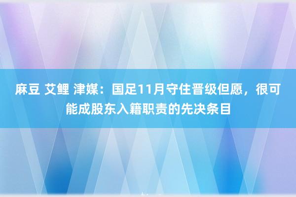 麻豆 艾鲤 津媒：国足11月守住晋级但愿，很可能成股东入籍职责的先决条目