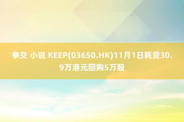 拳交 小说 KEEP(03650.HK)11月1日耗资30.9万港元回购5万股