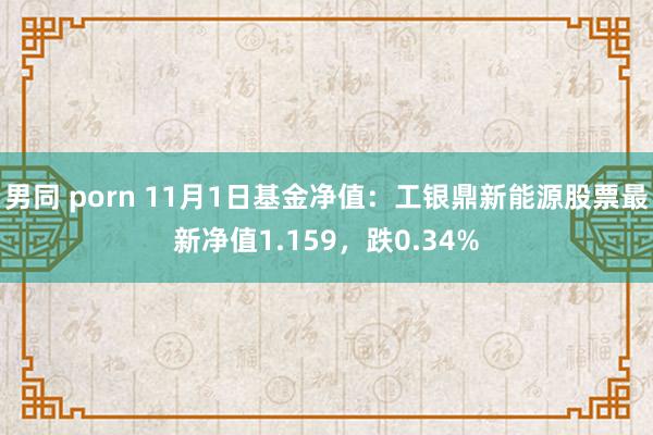 男同 porn 11月1日基金净值：工银鼎新能源股票最新净值1.159，跌0.34%