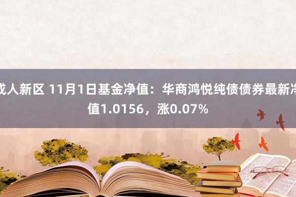 成人新区 11月1日基金净值：华商鸿悦纯债债券最新净值1.0156，涨0.07%