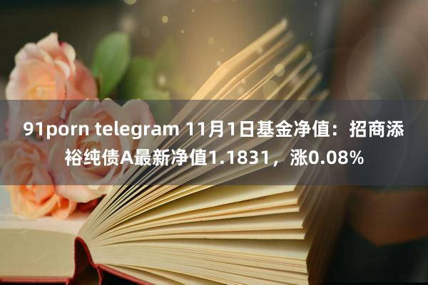 91porn telegram 11月1日基金净值：招商添裕纯债A最新净值1.1831，涨0.08%