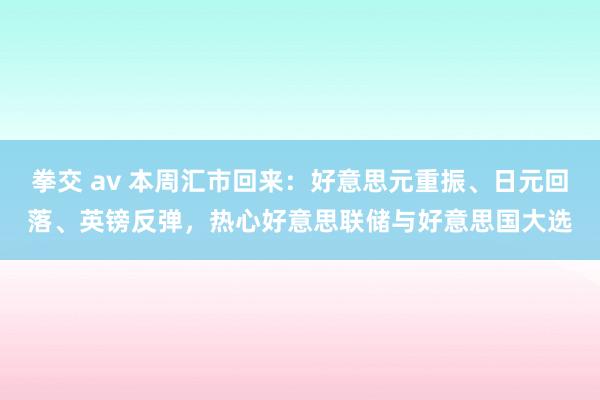 拳交 av 本周汇市回来：好意思元重振、日元回落、英镑反弹，热心好意思联储与好意思国大选