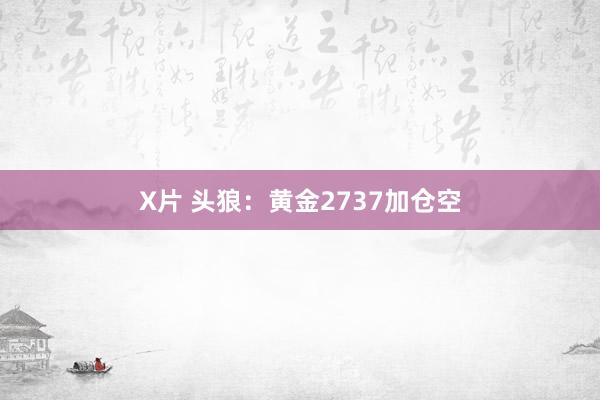 X片 头狼：黄金2737加仓空