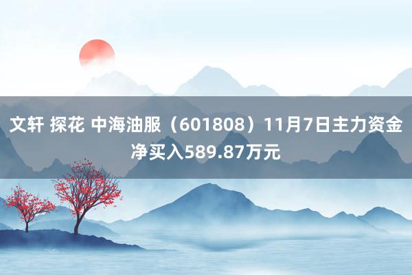 文轩 探花 中海油服（601808）11月7日主力资金净买入589.87万元