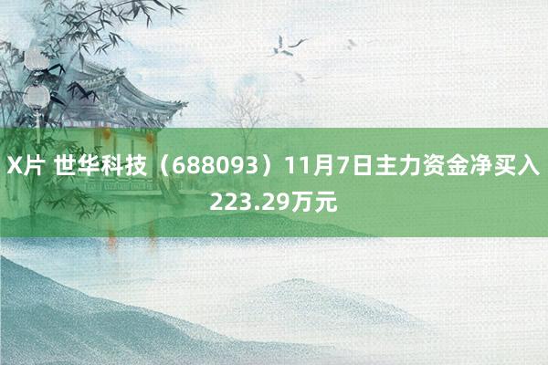 X片 世华科技（688093）11月7日主力资金净买入223.29万元