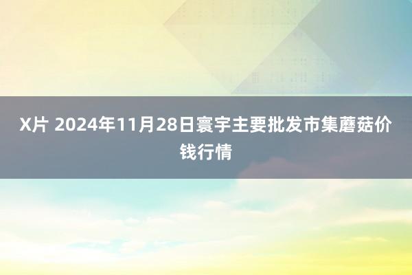 X片 2024年11月28日寰宇主要批发市集蘑菇价钱行情