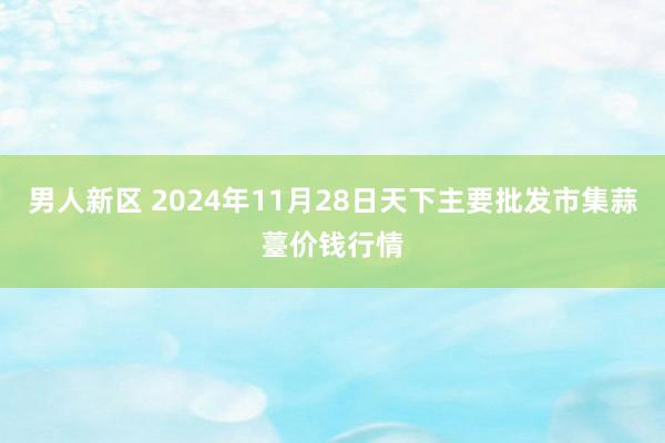 男人新区 2024年11月28日天下主要批发市集蒜薹价钱行情