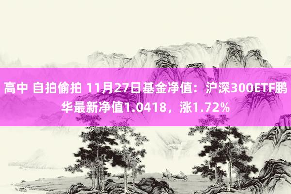 高中 自拍偷拍 11月27日基金净值：沪深300ETF鹏华最新净值1.0418，涨1.72%