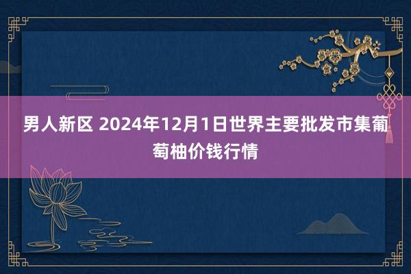 男人新区 2024年12月1日世界主要批发市集葡萄柚价钱行情