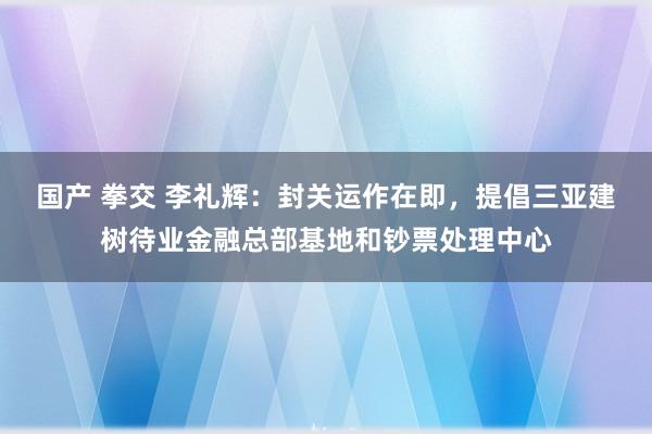 国产 拳交 李礼辉：封关运作在即，提倡三亚建树待业金融总部基地和钞票处理中心