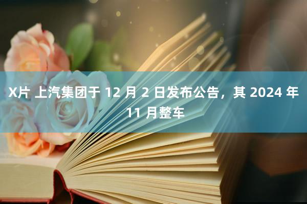 X片 上汽集团于 12 月 2 日发布公告，其 2024 年 11 月整车