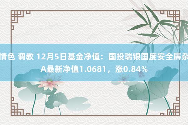 情色 调教 12月5日基金净值：国投瑞银国度安全羼杂A最新净值1.0681，涨0.84%