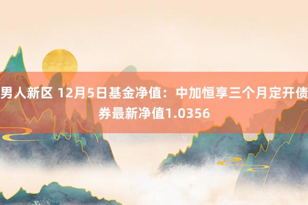 男人新区 12月5日基金净值：中加恒享三个月定开债券最新净值1.0356