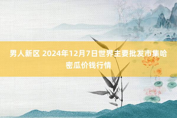 男人新区 2024年12月7日世界主要批发市集哈密瓜价钱行情