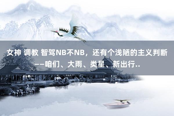 女神 调教 智驾NB不NB，还有个浅陋的主义判断——咱们、大雨、类星、新出行..