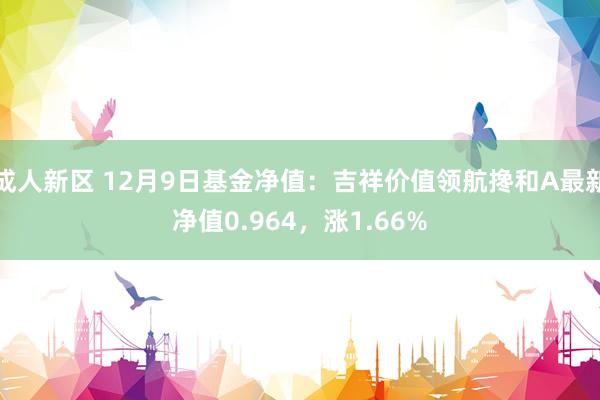 成人新区 12月9日基金净值：吉祥价值领航搀和A最新净值0.964，涨1.66%