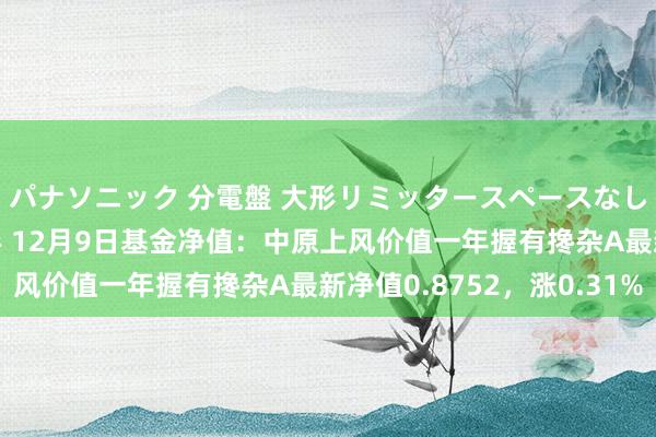 パナソニック 分電盤 大形リミッタースペースなし 露出・半埋込両用形 12月9日基金净值：中原上风价值一年握有搀杂A最新净值0.8752，涨0.31%