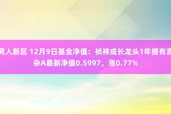 男人新区 12月9日基金净值：祯祥成长龙头1年握有混杂A最新净值0.5997，涨0.77%