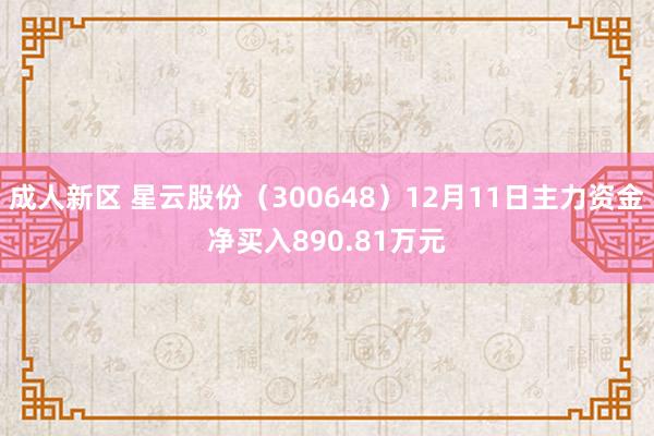 成人新区 星云股份（300648）12月11日主力资金净买入890.81万元