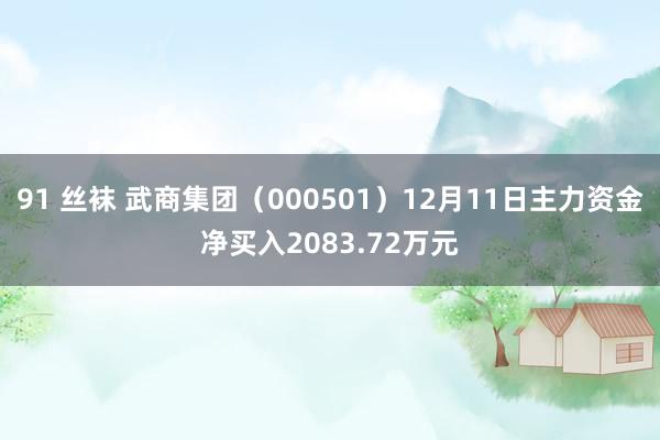 91 丝袜 武商集团（000501）12月11日主力资金净买入2083.72万元