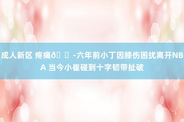 成人新区 疼痛😭六年前小丁因膝伤困扰离开NBA 当今小崔碰到十字韧带扯破