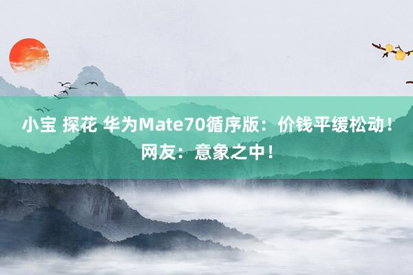 小宝 探花 华为Mate70循序版：价钱平缓松动！网友：意象之中！