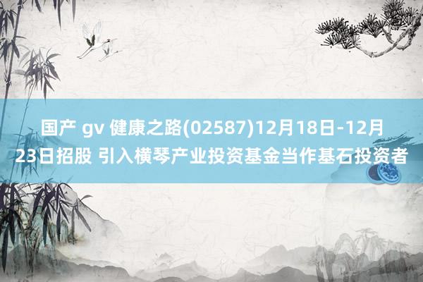 国产 gv 健康之路(02587)12月18日-12月23日招股 引入横琴产业投资基金当作基石投资者