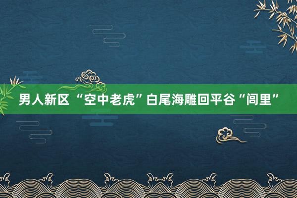 男人新区 “空中老虎”白尾海雕回平谷“闾里”