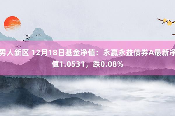 男人新区 12月18日基金净值：永赢永益债券A最新净值1.0531，跌0.08%