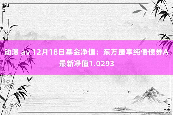 动漫 av 12月18日基金净值：东方臻享纯债债券A最新净值1.0293