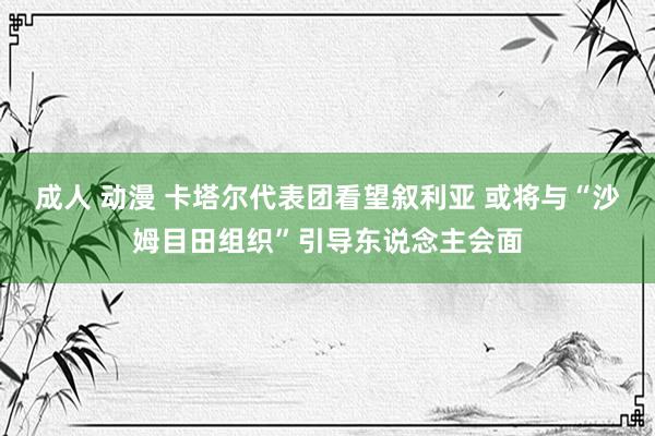 成人 动漫 卡塔尔代表团看望叙利亚 或将与“沙姆目田组织”引导东说念主会面