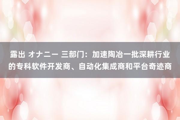 露出 オナニー 三部门：加速陶冶一批深耕行业的专科软件开发商、自动化集成商和平台奇迹商