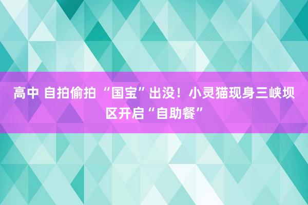 高中 自拍偷拍 “国宝”出没！小灵猫现身三峡坝区开启“自助餐”