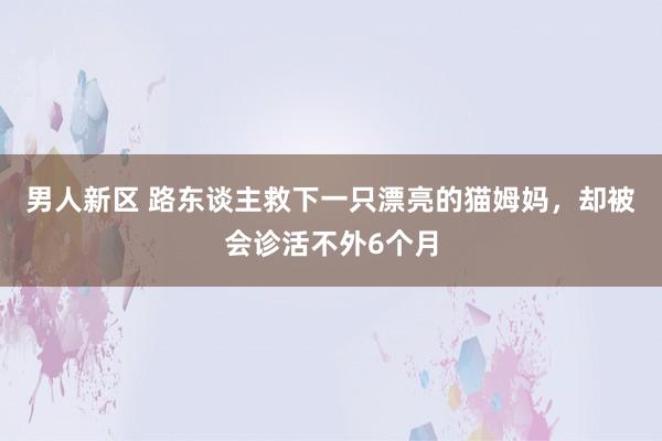 男人新区 路东谈主救下一只漂亮的猫姆妈，却被会诊活不外6个月