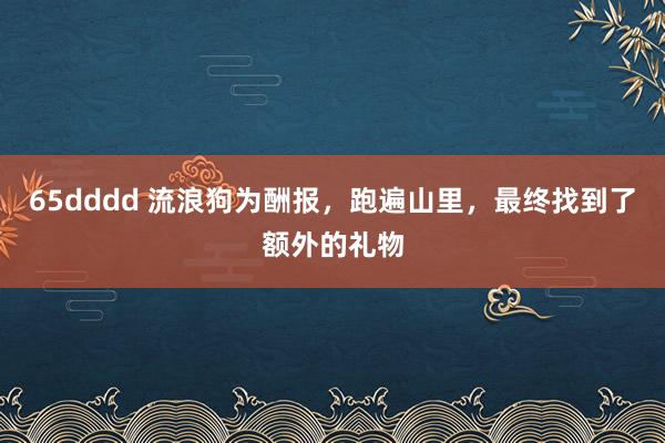 65dddd 流浪狗为酬报，跑遍山里，最终找到了额外的礼物