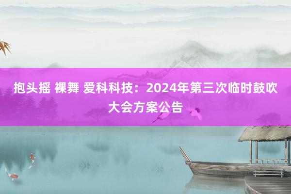 抱头摇 裸舞 爱科科技：2024年第三次临时鼓吹大会方案公告